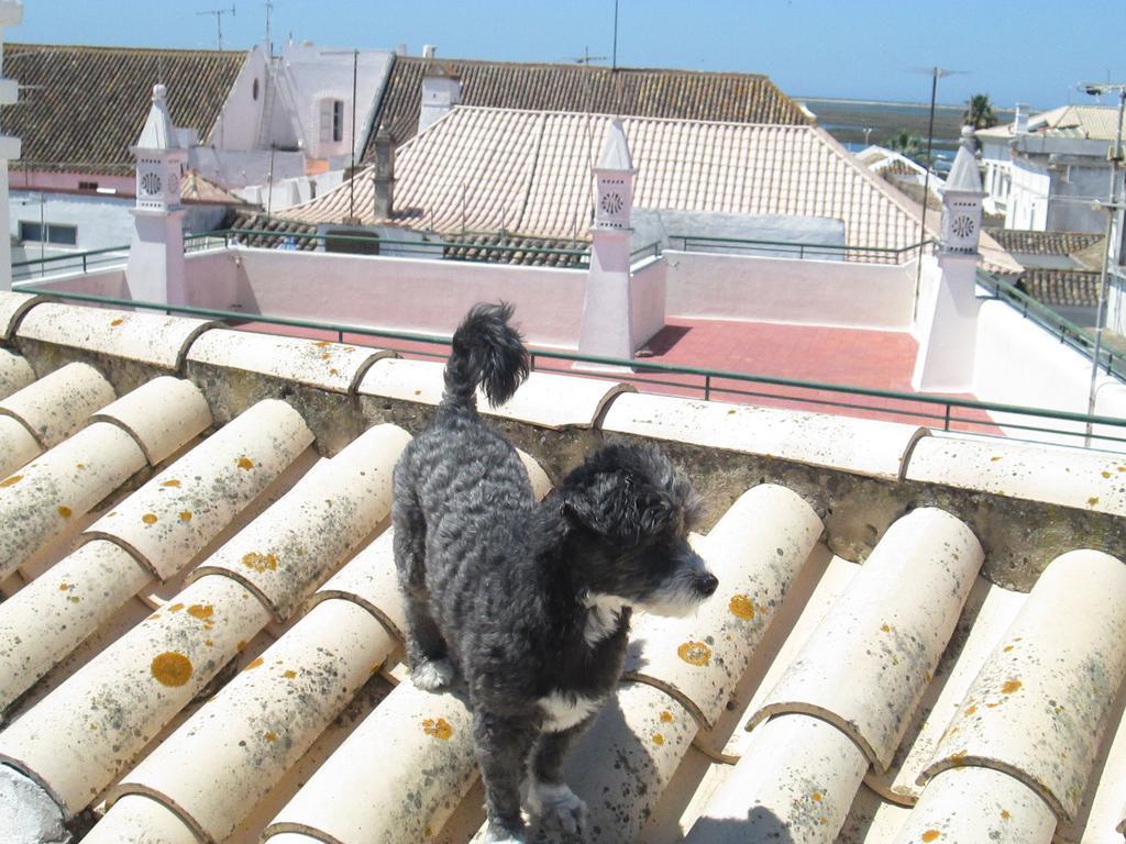 Guest House Capitao Mor District de District de Faro Extérieur photo